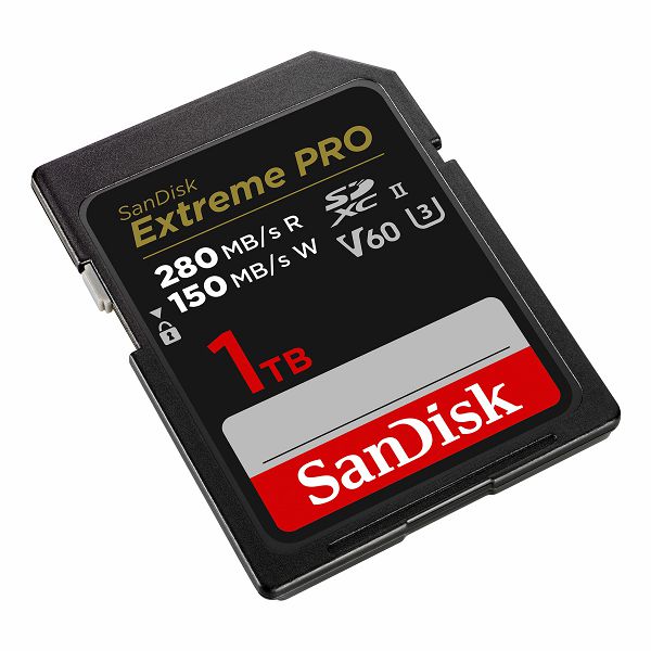 SanDisk V60 1TB