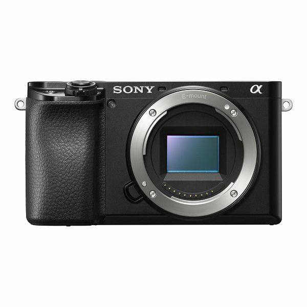 Sony a6100 (Body)