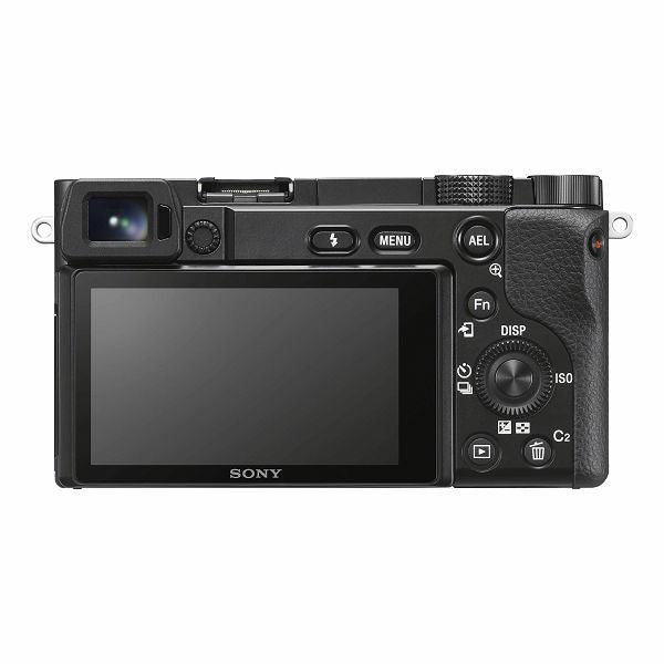 Sony a6100