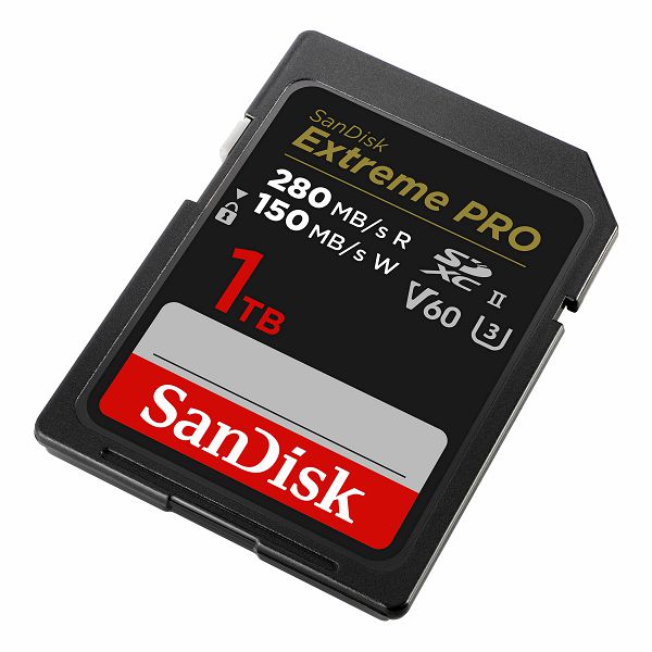 SanDisk V60 1TB